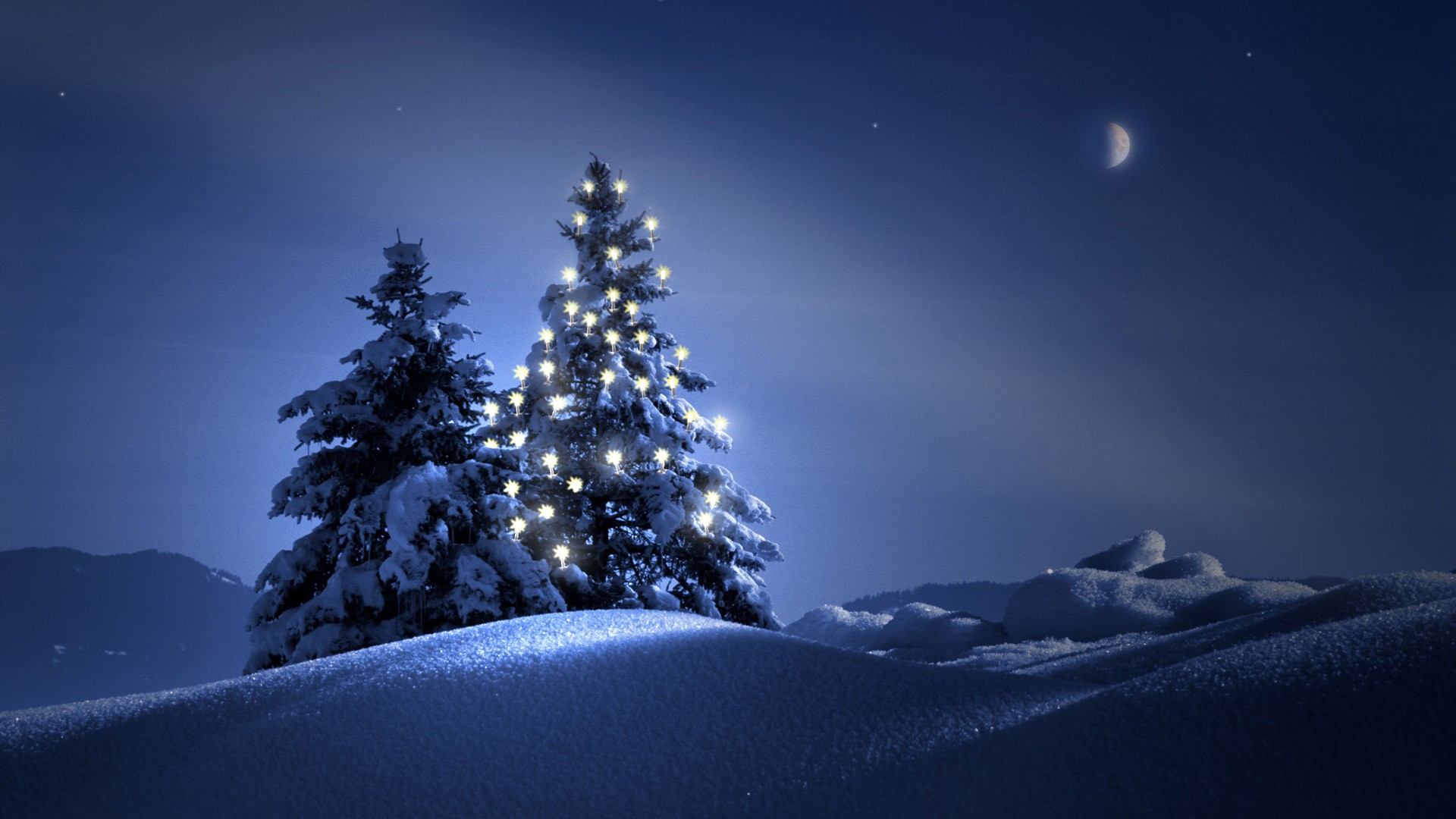 A Vigil for a Starry Night
